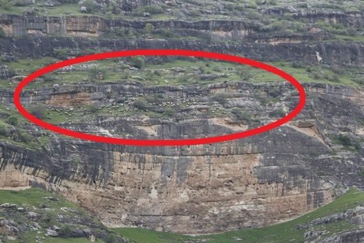 Siirt’te Ilısu Barajının su tutmasıyla birlikte göçerlerin geçiş yolu ve