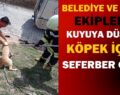 BELEDİYE VE AFAD EKİPLERİ KUYUYA DÜŞEN KÖPEK İÇİN SEFERBER OLDU