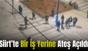 Siirt’te Bir İş Yerine Ateş Açıldı