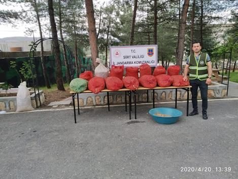 Siirt’in Tillo ilçesinde biyolojik çeşitliliği tahrip ederek Salep bitkisi kaçakçılığı