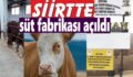 SİİRT’TE BÜYÜKBAŞ SÜT İŞLETMESİ FAALİYETE GEÇTİ