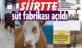 SİİRT’TE BÜYÜKBAŞ SÜT İŞLETMESİ FAALİYETE GEÇTİ