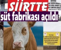 SİİRT’TE BÜYÜKBAŞ SÜT İŞLETMESİ FAALİYETE GEÇTİ