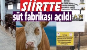 SİİRT’TE BÜYÜKBAŞ SÜT İŞLETMESİ FAALİYETE GEÇTİ