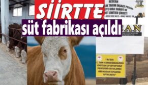 SİİRT’TE BÜYÜKBAŞ SÜT İŞLETMESİ FAALİYETE GEÇTİ