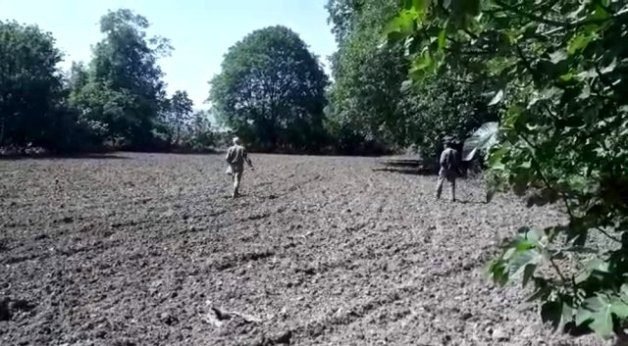 Siirtli çiftçiler, maliyeti düşük ve getirisi yüksek olan susamları toprakla