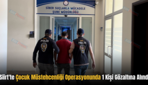 Siirt’te Çocuk Müstehcenliği Operasyonunda 1 Kişi Gözaltına Alındı