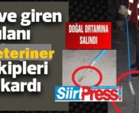 SİİRT’TE EVE GİREN YILANI VETERİNER EKİPLERİ ÇIKARTTI!..