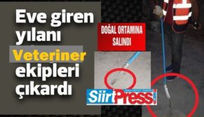 SİİRT’TE EVE GİREN YILANI VETERİNER EKİPLERİ ÇIKARTTI!..