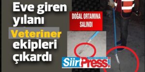 SİİRT’TE EVE GİREN YILANI VETERİNER EKİPLERİ ÇIKARTTI!..
