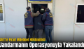 Siirt’te Firari Müebbet Hükümlüsü Jandarmanın Operasyonuyla Yakalandı