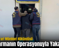 Siirt’te Firari Müebbet Hükümlüsü Jandarmanın Operasyonuyla Yakalandı