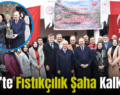 Siirt’te Fıstıkçılık Şaha Kalkıyor