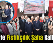 Siirt’te Fıstıkçılık Şaha Kalkıyor