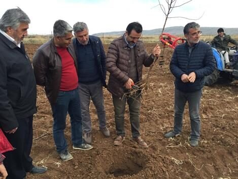 Siirt’te fıstıktan sonra badem ve ceviz yetiştiriciliği yaygınlaştırılıyor. İl Tarım