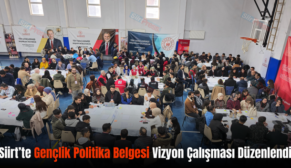 Siirt’te Gençlik Politika Belgesi Vizyon Çalışması Düzenlendi