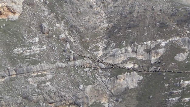 GÜZERGAHLARI SULAR ALTINDA KALAN GÖÇEBELERİN ZORLU YAYLA YOLCULUĞU