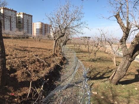 Siirt’te hırsızlıkta sınır tanımayan hırsızlar, 4 vatandaşa ait bağın etrafını