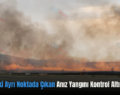 Siirt’te İki Ayrı Noktada Çıkan Anız Yangını Kontrol Altına Alındı