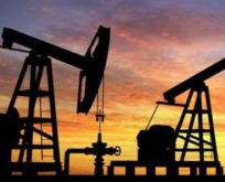SİİRT’TE İKİ İLÇEDE PETROL ARANACAK