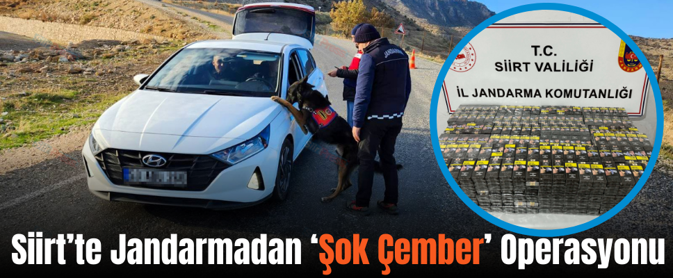 Siirt’te Jandarmadan ‘Şok Çember’ Operasyonu