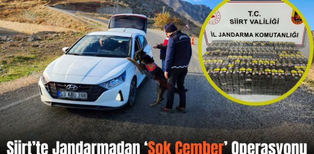Siirt’te Jandarmadan ‘Şok Çember’ Operasyonu