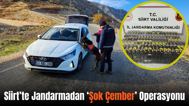 Siirt’te Jandarmadan ‘Şok Çember’ Operasyonu