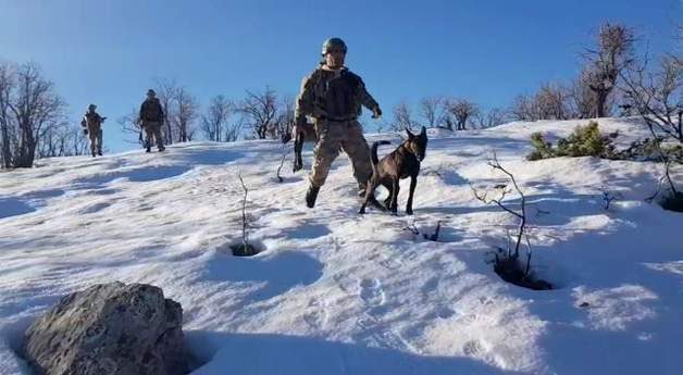 Siirt İl Jandarma Komutanlığı ekiplerince yapılan titiz ve planlı çalışmalar