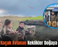 Siirt’te Kaçak Avlanan Keklikler Doğaya Salındı