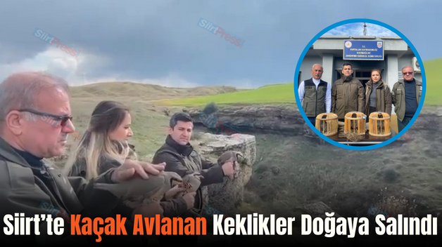 Siirt’te Kaçak Avlanan Keklikler Doğaya Salındı