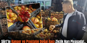 Siirt’te Kanser ve Prostatın Doğal İlacı Zivzik Narı Piyasada!..
