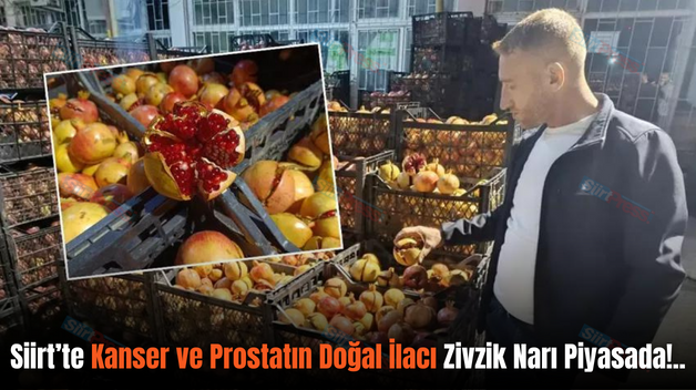 Siirt’te Kanser ve Prostatın Doğal İlacı Zivzik Narı Piyasada!..