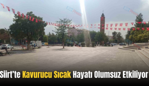 Siirt’te Kavurucu Sıcak Hayatı Olumsuz Etkiliyor