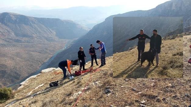 Siirt’te kayalıklarda mahsur kalan keçi Siirt İtfaiye, AFAD ve jandarma