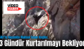 Siirt’te Kayalıkta Mahsur Kalan Keçiler, 3 Gündür Kurtarılmayı Bekliyor