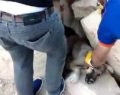 KAYALIKLARDA SIKIŞAN KÖPEĞİ AFAD KURTARDI