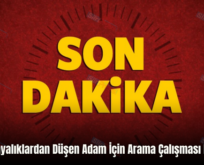 Siirt’te Kayalıklardan Düşen Adam İçin Arama Çalışması Başlatıldı