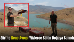 Siirt’te Kene Avcısı Yüzlerce Sülün Doğaya Salındı