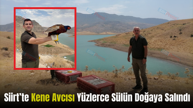 Siirt’te Kene Avcısı Yüzlerce Sülün Doğaya Salındı