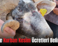 Siirt’te Kurban Kesim Ücretleri Belirlendi