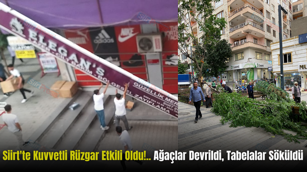 Siirt’te Kuvvetli Rüzgar Etkili Oldu!.. Ağaçlar Devrildi, Tabelalar Söküldü