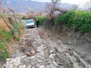 Siirt’te bağ ve bahçelere sahip birçok vatandaş, yağan yağışlar ve