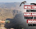 3 HAFTALIK TEDAVİNİN ARDINDAN DOĞAYA KAVUŞTU