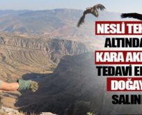 3 HAFTALIK TEDAVİNİN ARDINDAN DOĞAYA KAVUŞTU