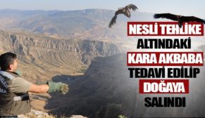 3 HAFTALIK TEDAVİNİN ARDINDAN DOĞAYA KAVUŞTU