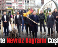 Siirt’te Nevruz Bayramı Coşkusu