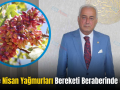 Siirt’te Nisan Yağmurları Bereketi Beraberinde Getirdi