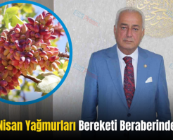 Siirt’te Nisan Yağmurları Bereketi Beraberinde Getirdi