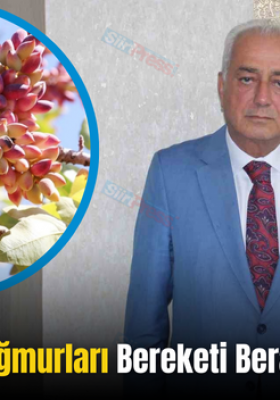 Siirt’te Nisan Yağmurları Bereketi Beraberinde Getirdi