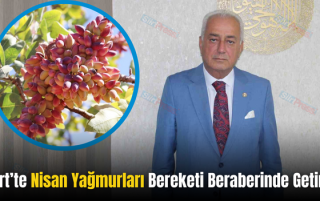Siirt’te Nisan Yağmurları Bereketi Beraberinde Getirdi